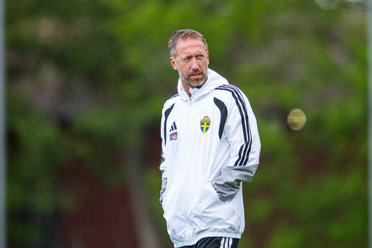 Head coach Graham Potter of the Swedish national football