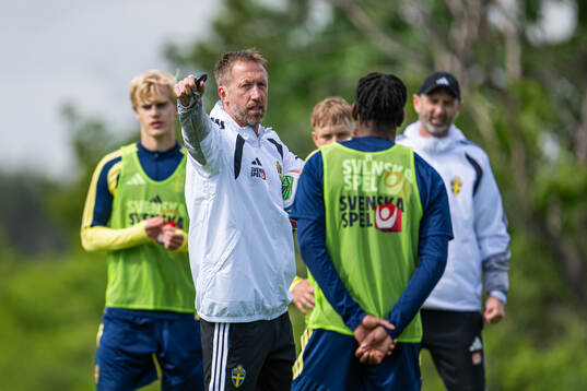 Head coach Graham Potter of the Swedish national football