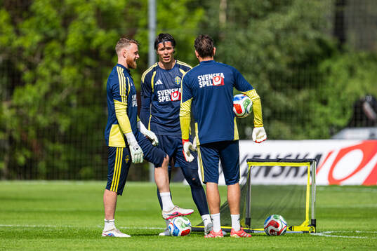 Goalkeepers Viktor Johansson, Jacob Widell Zetterström and