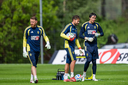Goalkeepers Viktor Johansson, Kristoffer Nordfeldt and