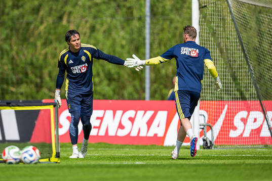 Goalkeepers  Jacob Widell Zetterström and Viktor Johansson