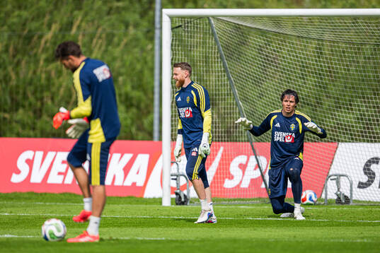 Goalkeepers Kristoffer Nordfeldt Viktor Johansson and Jacob
