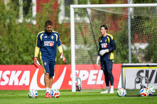 Goalkeepers Kristoffer Nordfeldt and Jacob Widell