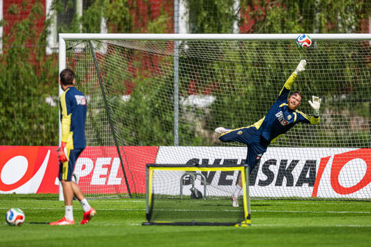 Goalkeepers Kristoffer Nordfeldt and Viktor Johansson of