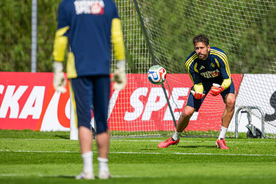 Goalkeeper Kristoffer Nordfeldt of the Swedish national