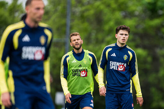 Besfort Zeneli of the Swedish national football team at a