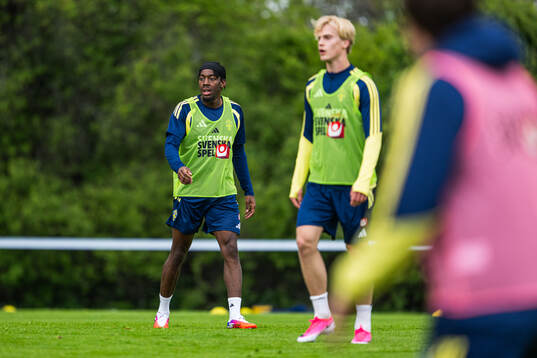 Anthony Elanga of the Swedish national football team at a