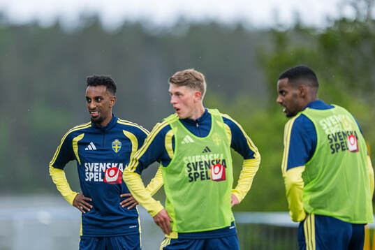 Taha Abdi Ali of the Swedish national football team at a