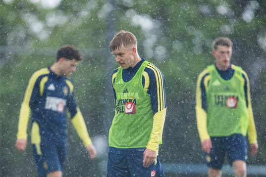 Daniel Svensson of the Swedish national football team at a