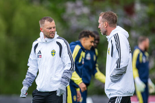 Assistant coach Sebastian Larsson and head coach Graham