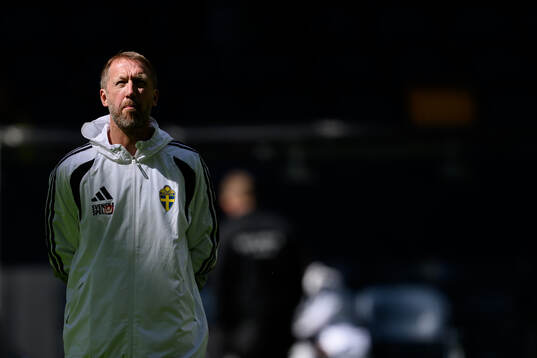 Head coach Graham Potter of the Swedish national football
