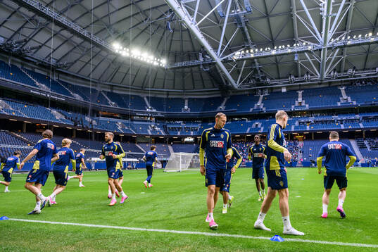 Players of the Swedish national football team at a training