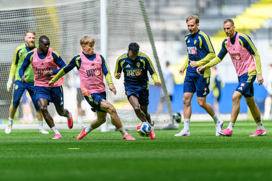 Daniel Svensson and Taha Ali of the Swedish national
