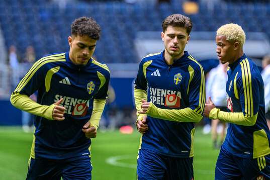 Yasin Ayari and Besfort Zeneli of the Swedish national