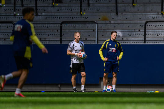 Elliot Stroud of the Swedish national football team at a