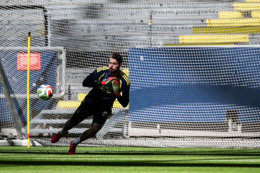 goalkeeper Kristoffer Nordfeldt of the Swedish national