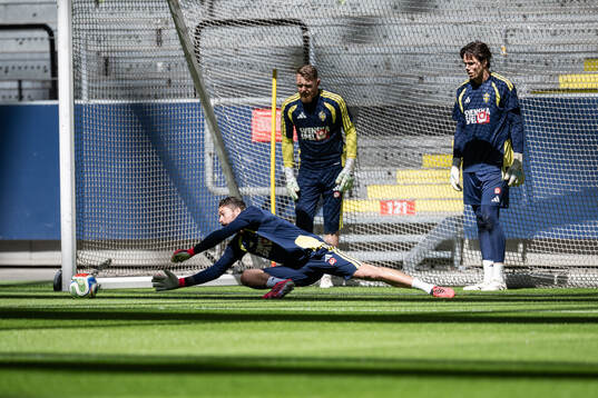 goalkeepers Kristoffer Nordfeldt, Viktor Johansson and