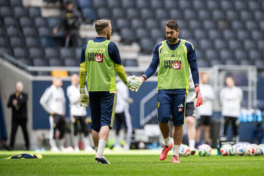 goalkeepers Viktor Johansson and Kristoffer Nordfeldt of
