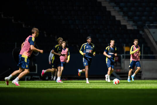 Anthony Elanga of the Swedish national football team at a