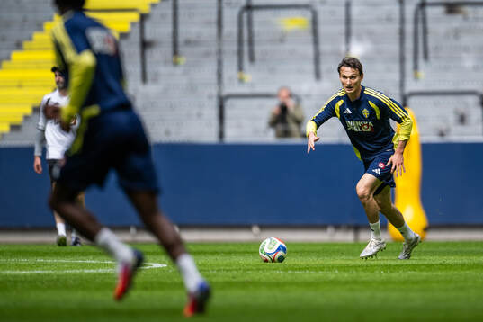Hjalmar Ekdal of the Swedish national football team at a