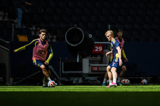 Besfort Zeneli and Lucas Bergvall of the Swedish national