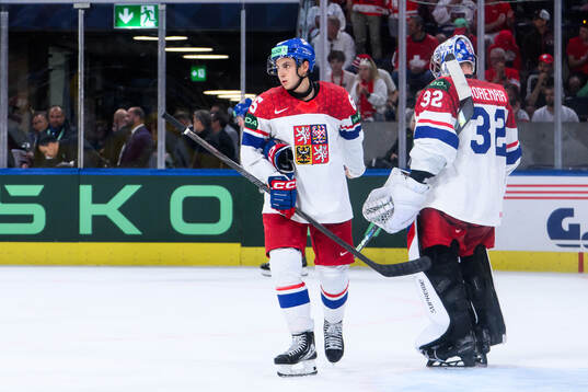 Tomas Cibulka of Czech Republic looks dejected