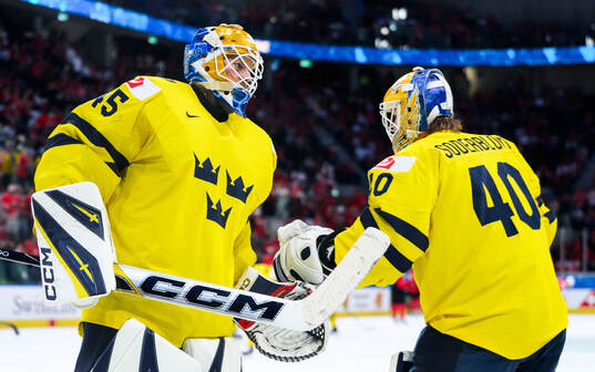 Goaltender Magnus Hellberg and goaltender Arvid Söderblom