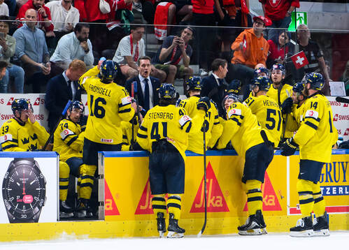 Head coach Sam Hallam of Sweden talks to players