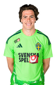 Goalkeeper Jacob Widell Zetterström of the Swedish