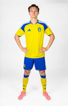 Hjalmar Ekdal of the Swedish national football team poses