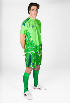 Goalkeeper Jacob Widell Zetterström of the Swedish