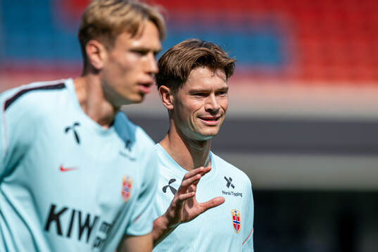 Henrik Falchener of the Norwegian national football team