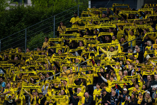 Spectators in the stands