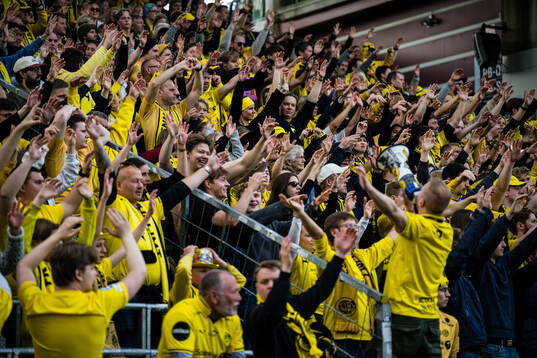 Spectators in the stands
