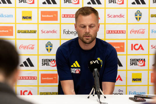 Assistant coach Sebastian Larsson of the Swedish national