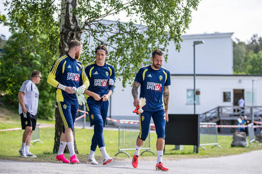 goalkeepers Viktor Johansson, Jacob Widell Zetterström and