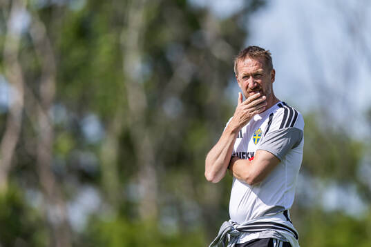 head coach Graham Potter of the Swedish national football