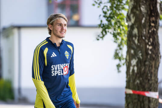 Sebastian Nanasi of the Swedish national football team at a