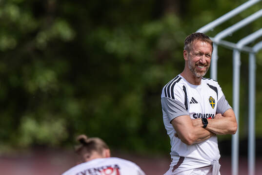 head coach Graham Potter of the Swedish national football