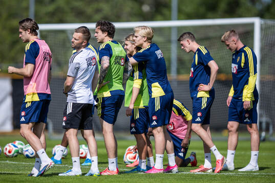 Sebastian Nanasi and Lucas Bergvall of the Swedish national