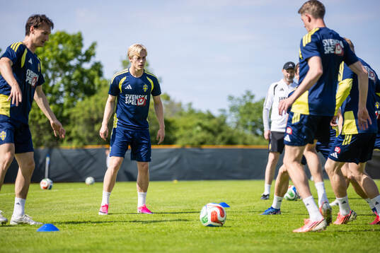 Lucas Bergvall of the Swedish national football team at a