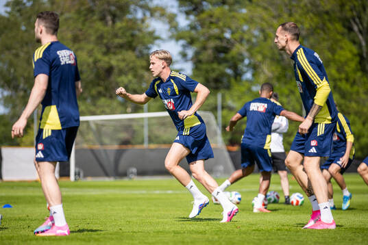 Herman Johansson of the Swedish national football team at a