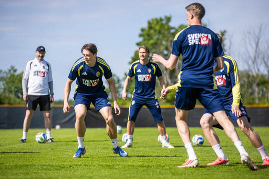 Elliot Stroud of the Swedish national football team at a