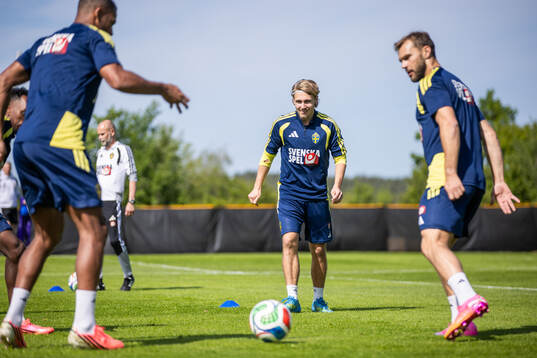 Sebastian Nanasi of the Swedish national football team at a