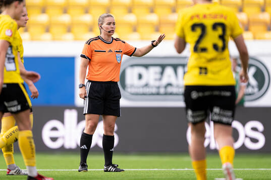 Domare Camilla Friberg