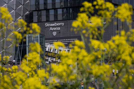 Strawberry Arena