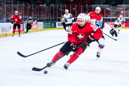 Denis Malgin of Switzerland