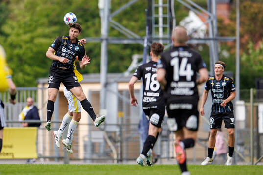 Oddevolds Erik Hedenquist