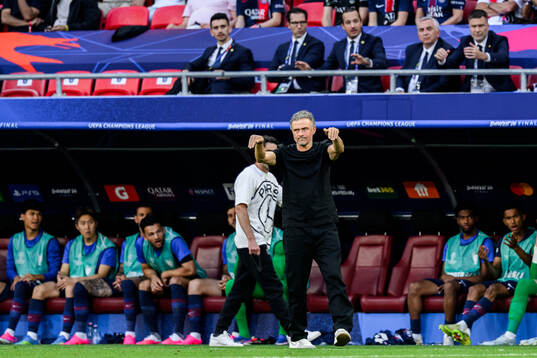 Coach Luis Enrique of Paris Saint-Germain