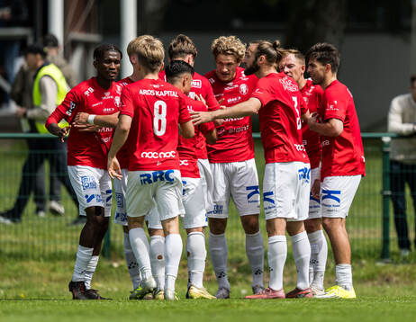 Trelleborgspelarna jublar